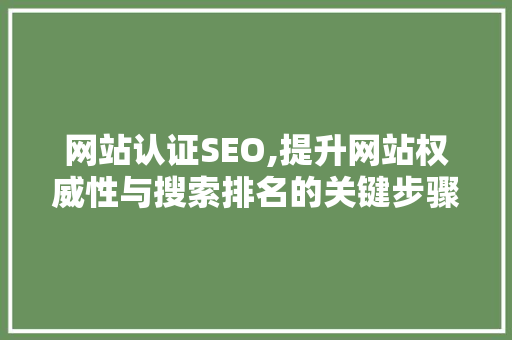 网站认证SEO,提升网站权威性与搜索排名的关键步骤