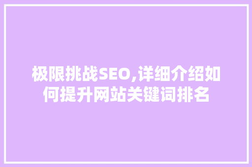 极限挑战SEO,详细介绍如何提升网站关键词排名