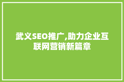 武义SEO推广,助力企业互联网营销新篇章