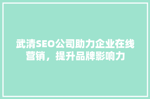 武清SEO公司助力企业在线营销，提升品牌影响力