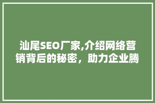 汕尾SEO厂家,介绍网络营销背后的秘密，助力企业腾飞