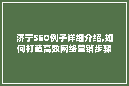 济宁SEO例子详细介绍,如何打造高效网络营销步骤