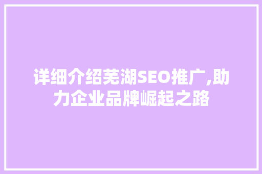 详细介绍芜湖SEO推广,助力企业品牌崛起之路