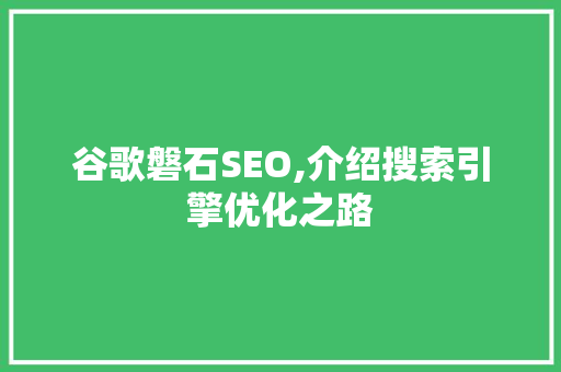 谷歌磐石SEO,介绍搜索引擎优化之路