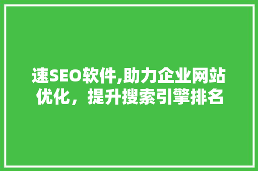 速SEO软件,助力企业网站优化，提升搜索引擎排名
