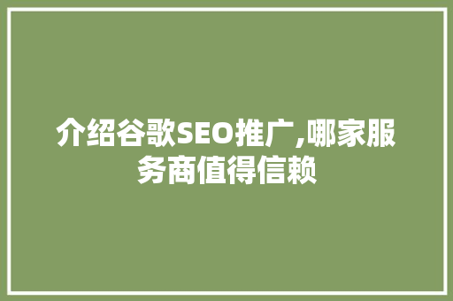 介绍谷歌SEO推广,哪家服务商值得信赖