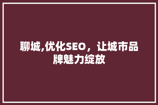 聊城,优化SEO，让城市品牌魅力绽放