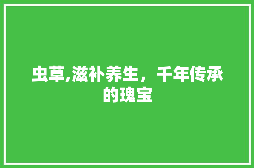 虫草,滋补养生，千年传承的瑰宝