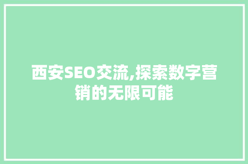 西安SEO交流,探索数字营销的无限可能