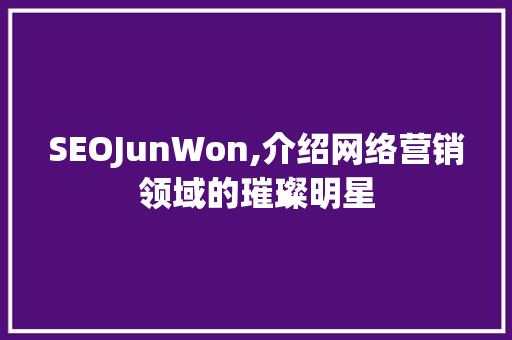 SEOJunWon,介绍网络营销领域的璀璨明星