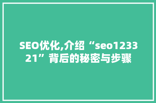 SEO优化,介绍“seo123321”背后的秘密与步骤