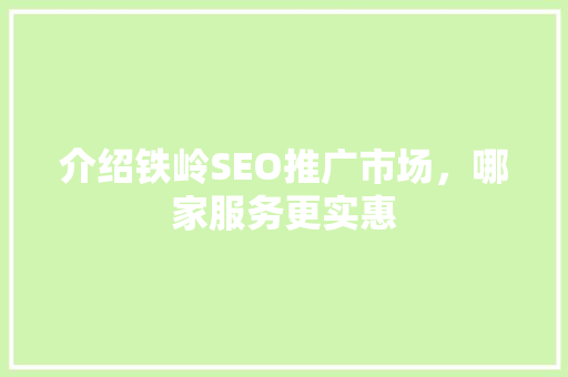 介绍铁岭SEO推广市场，哪家服务更实惠