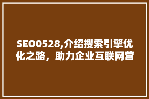 SEO0528,介绍搜索引擎优化之路，助力企业互联网营销  第1张