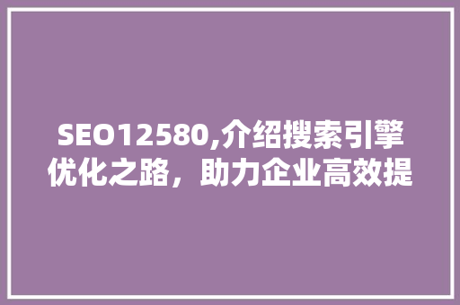 SEO12580,介绍搜索引擎优化之路，助力企业高效提升在线知名度