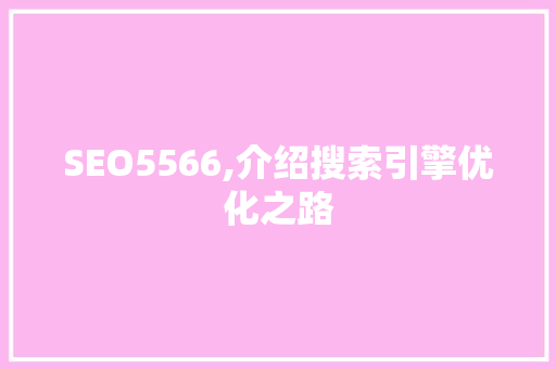 SEO5566,介绍搜索引擎优化之路