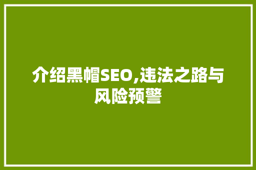 介绍黑帽SEO,违法之路与风险预警