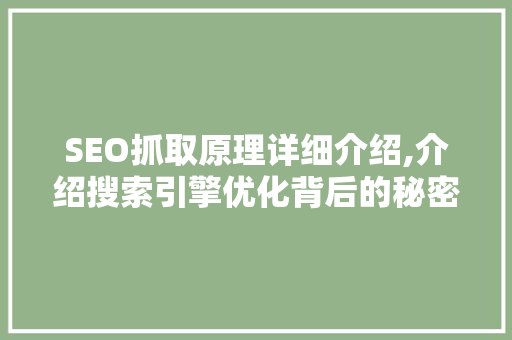 SEO抓取原理详细介绍,介绍搜索引擎优化背后的秘密