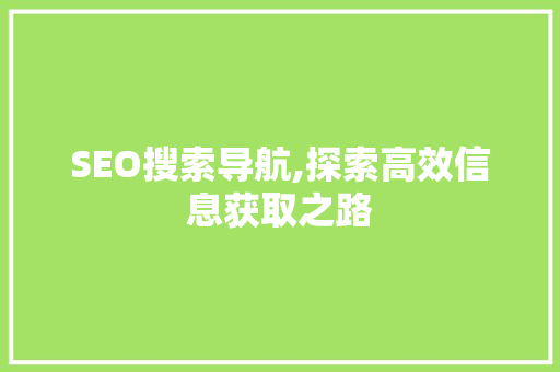 SEO搜索导航,探索高效信息获取之路