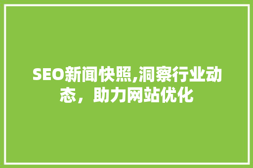 SEO新闻快照,洞察行业动态，助力网站优化