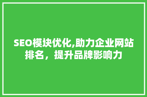SEO模块优化,助力企业网站排名，提升品牌影响力