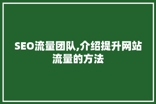 SEO流量团队,介绍提升网站流量的方法