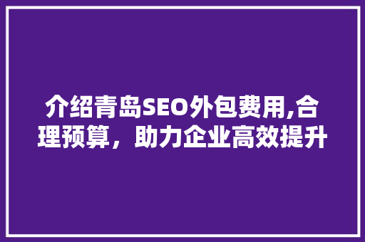介绍青岛SEO外包费用,合理预算，助力企业高效提升网络排名