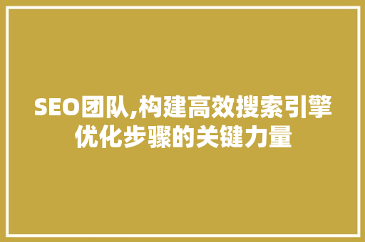 SEO团队,构建高效搜索引擎优化步骤的关键力量