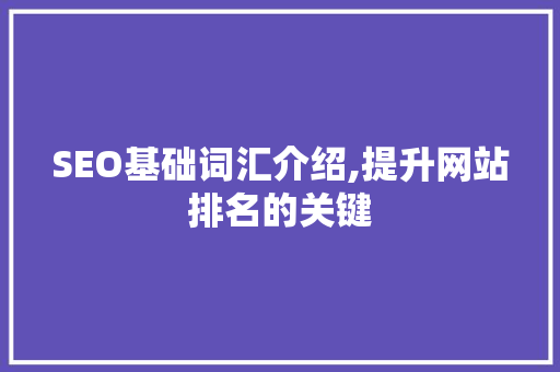 SEO基础词汇介绍,提升网站排名的关键