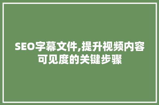 SEO字幕文件,提升视频内容可见度的关键步骤