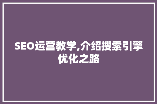 SEO运营教学,介绍搜索引擎优化之路
