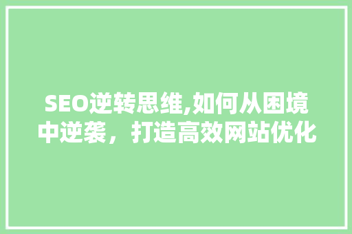 SEO逆转思维,如何从困境中逆袭，打造高效网站优化步骤