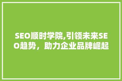 SEO顺时学院,引领未来SEO趋势，助力企业品牌崛起