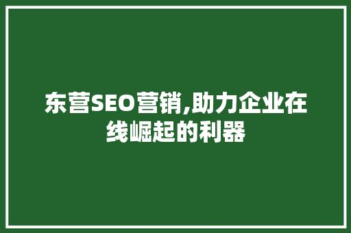 东营SEO营销,助力企业在线崛起的利器