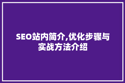 SEO站内简介,优化步骤与实战方法介绍