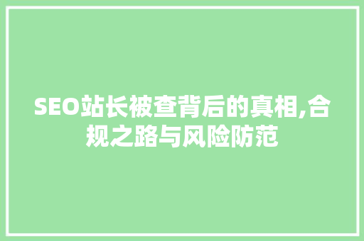 SEO站长被查背后的真相,合规之路与风险防范