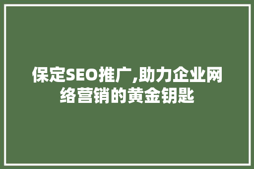 保定SEO推广,助力企业网络营销的黄金钥匙