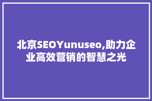 北京SEOYunuseo,助力企业高效营销的智慧之光