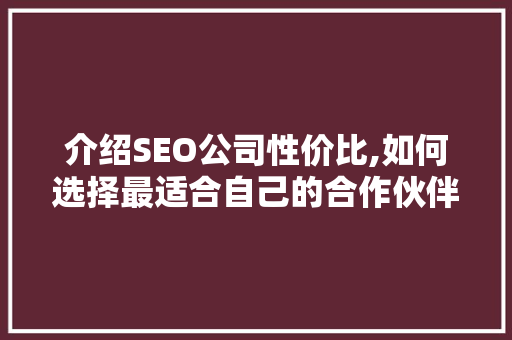 介绍SEO公司性价比,如何选择最适合自己的合作伙伴