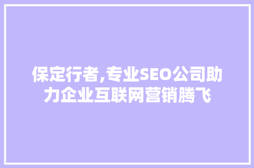保定行者,专业SEO公司助力企业互联网营销腾飞