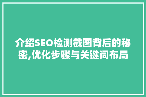 介绍SEO检测截图背后的秘密,优化步骤与关键词布局的艺术  第1张
