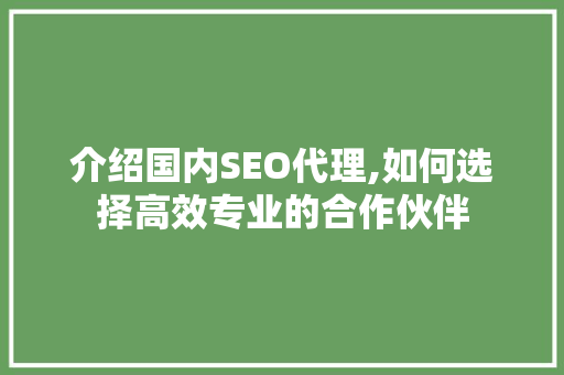 介绍国内SEO代理,如何选择高效专业的合作伙伴