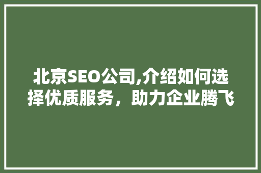 北京SEO公司,介绍如何选择优质服务，助力企业腾飞