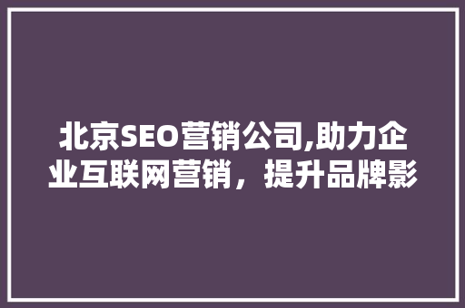 北京SEO营销公司,助力企业互联网营销，提升品牌影响力
