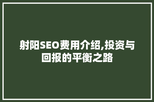 射阳SEO费用介绍,投资与回报的平衡之路