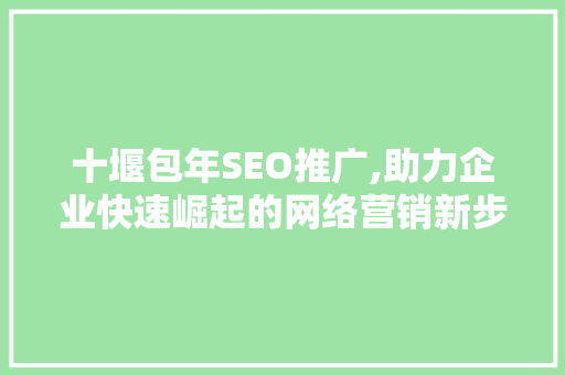 十堰包年SEO推广,助力企业快速崛起的网络营销新步骤
