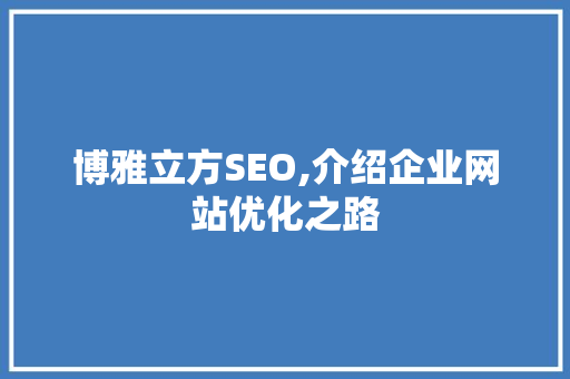 博雅立方SEO,介绍企业网站优化之路