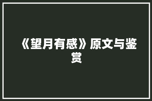 合肥外贸SEO,助力企业抢占互联网市场制高点  第1张