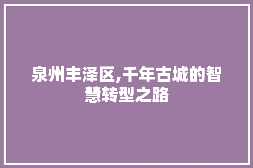 泉州丰泽区,千年古城的智慧转型之路