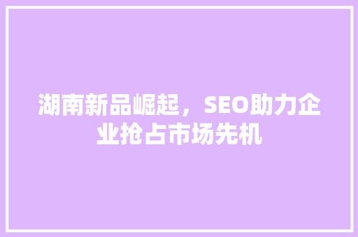 湖南新品崛起，SEO助力企业抢占市场先机