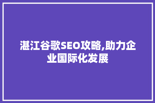 湛江谷歌SEO攻略,助力企业国际化发展